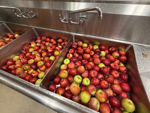 Masons making apple butter for the Zollicoffer Lodge scholarship fund (photo 1 of 5)